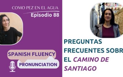 88 – Preguntas y respuestas sobre el Camino de Santiago